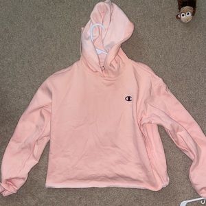 Champion Cropped Hoodie